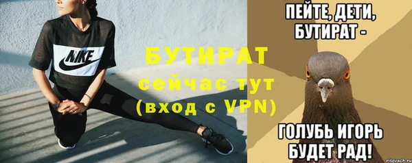 хмурый Няндома