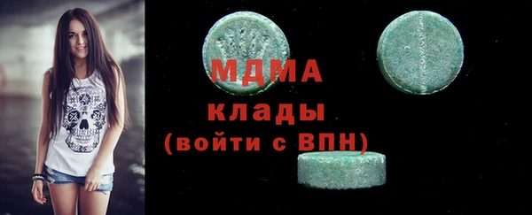 хмурый Няндома