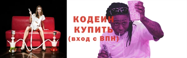 хмурый Няндома