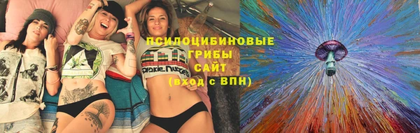 дмт Нязепетровск