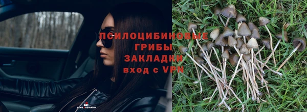 хмурый Няндома