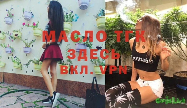 хмурый Няндома
