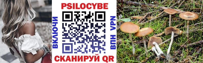 Галлюциногенные грибы мицелий  Вязьма 