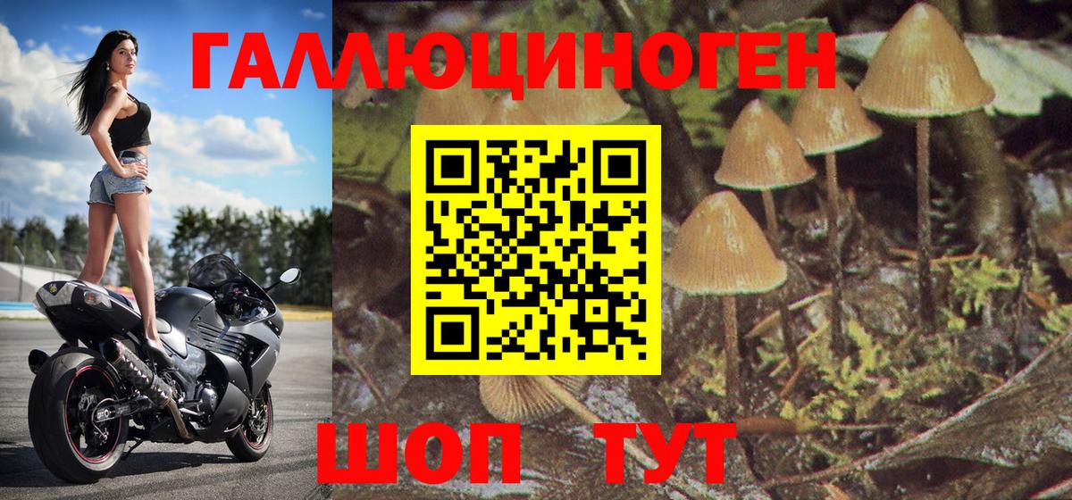 Псилоцибиновые грибы мухоморы Вязьма