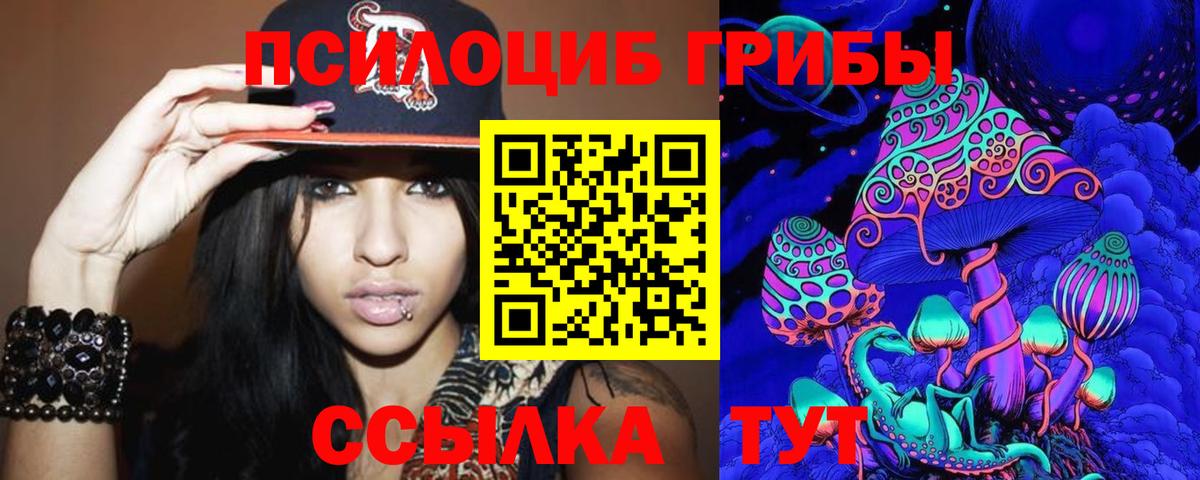 Псилоцибиновые грибы MAGIC MUSHROOMS  Псилоцибиновые грибы Psilocybine cubensis  Вязьма  цена наркотик  Вход с VPN 